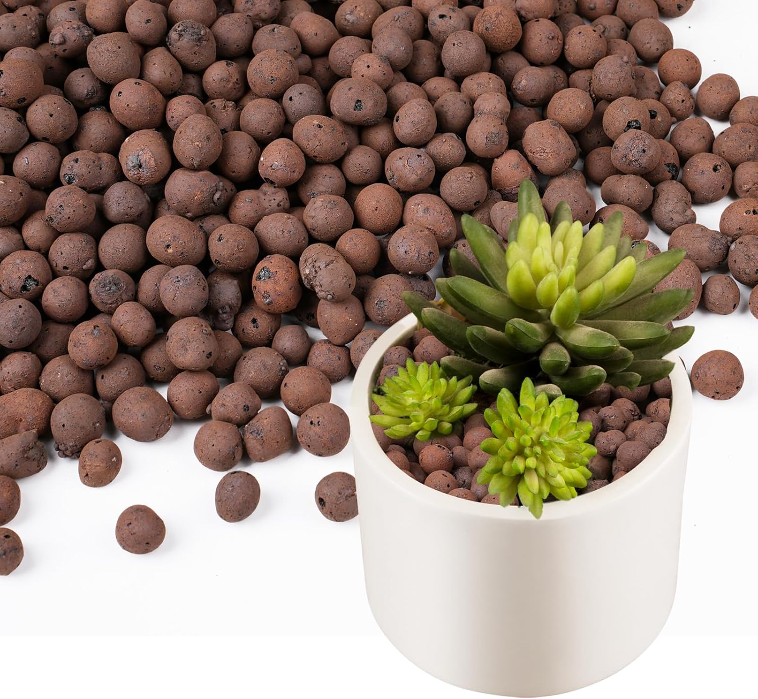 Sphagnum Moss Bag - 100/200G de billes d'argile pour plantes,