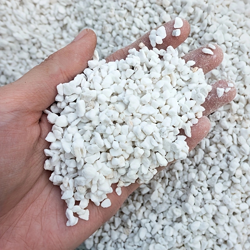 Horticulture Soil Perlite - 1 paquet de perlite horticole de