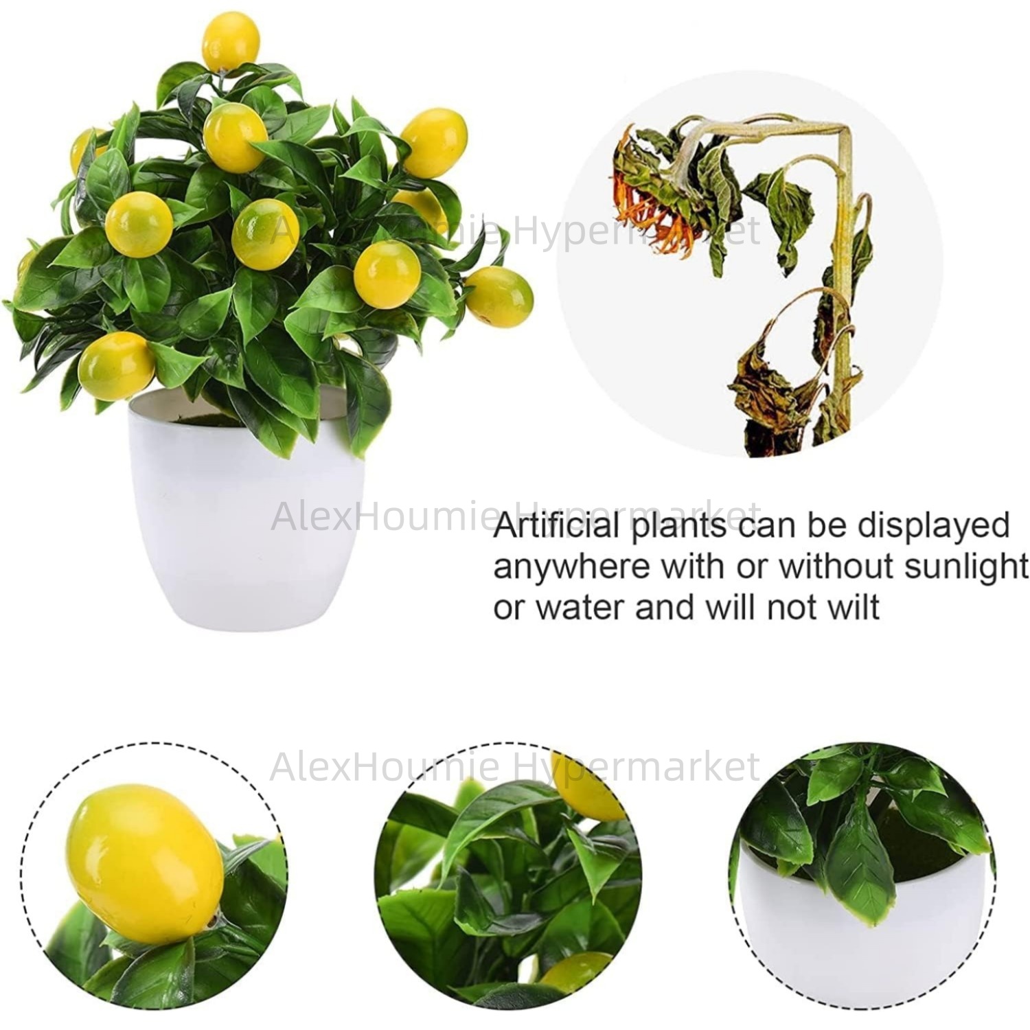 Faux arbre à citron, petite pl - Bonsai Garden Sushi avis et prix