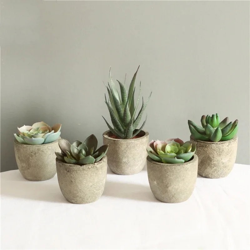 Mini plantes artificielles à l - Bonsai Garden Sushi avis et prix