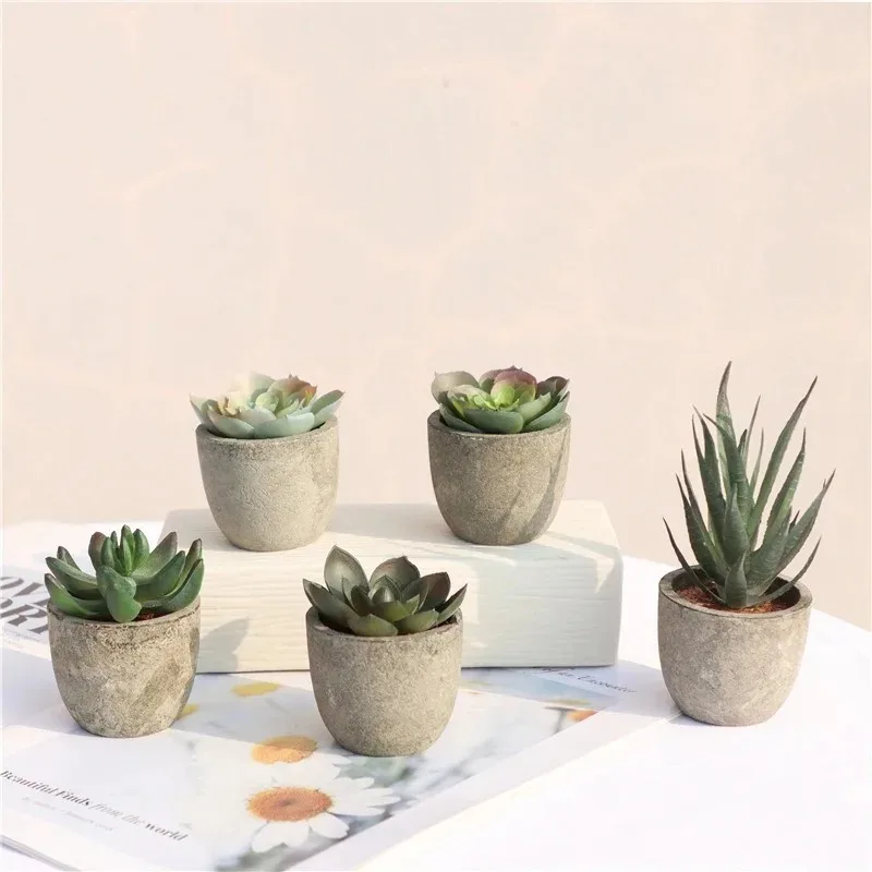 Mini plantes artificielles à l - Bonsai Garden Sushi avis et prix