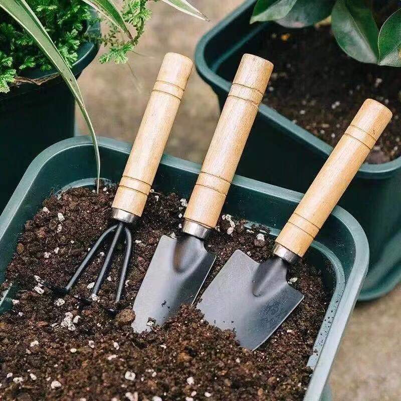 3 pièce/1 ensemble Mini ensemb - Soil Scoop Tool avis et prix