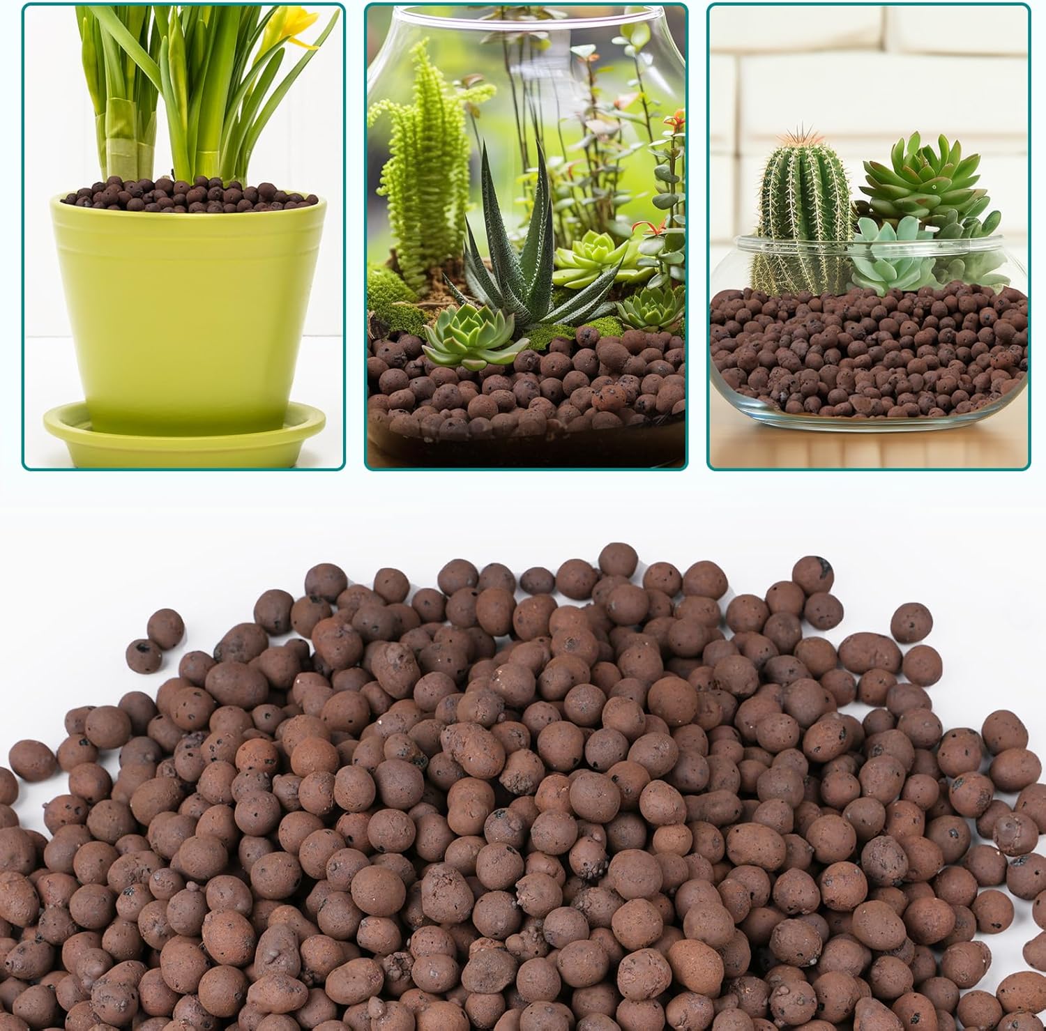 100/200G de billes d'argile po - Sphagnum Moss Bag avis et prix