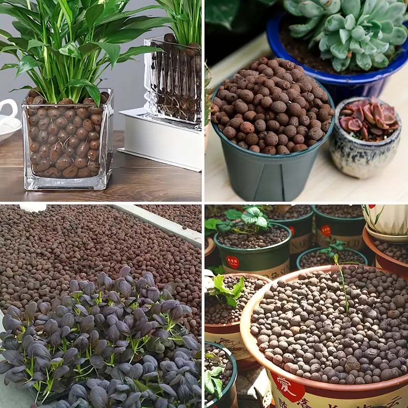 100/200G de billes d'argile po - Sphagnum Moss Bag avis et prix