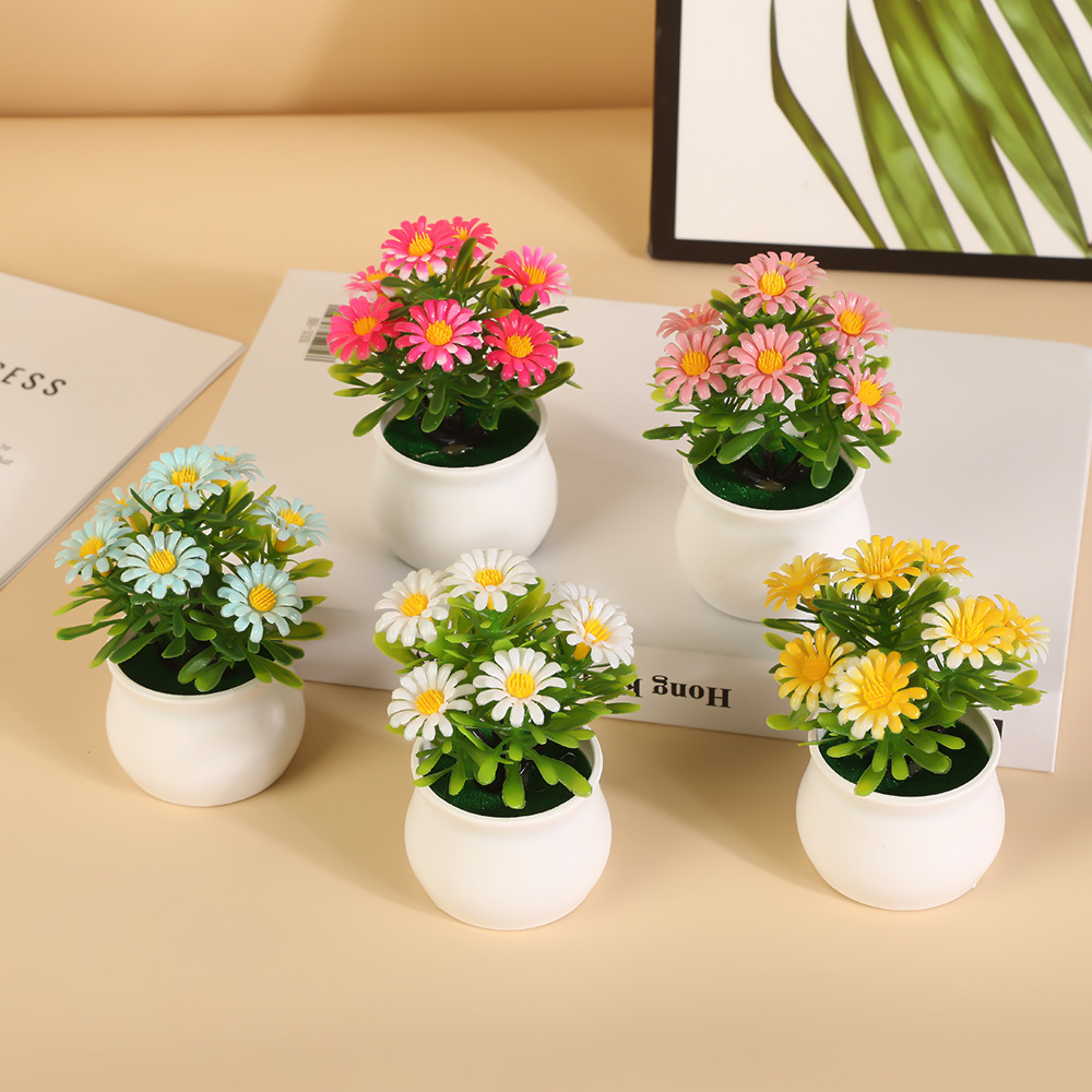 Décoration de bureau, décorati - Bonsai Garden Sushi avis et prix