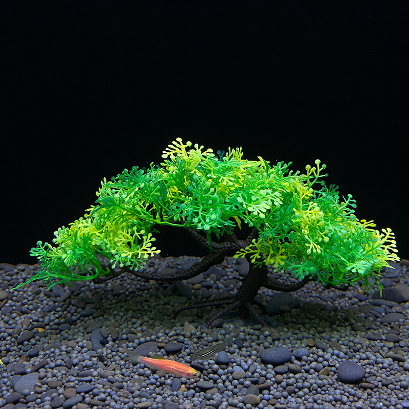Arbre bonsaï d'aquarium, plant - Bonsai Garden Sushi avis et prix