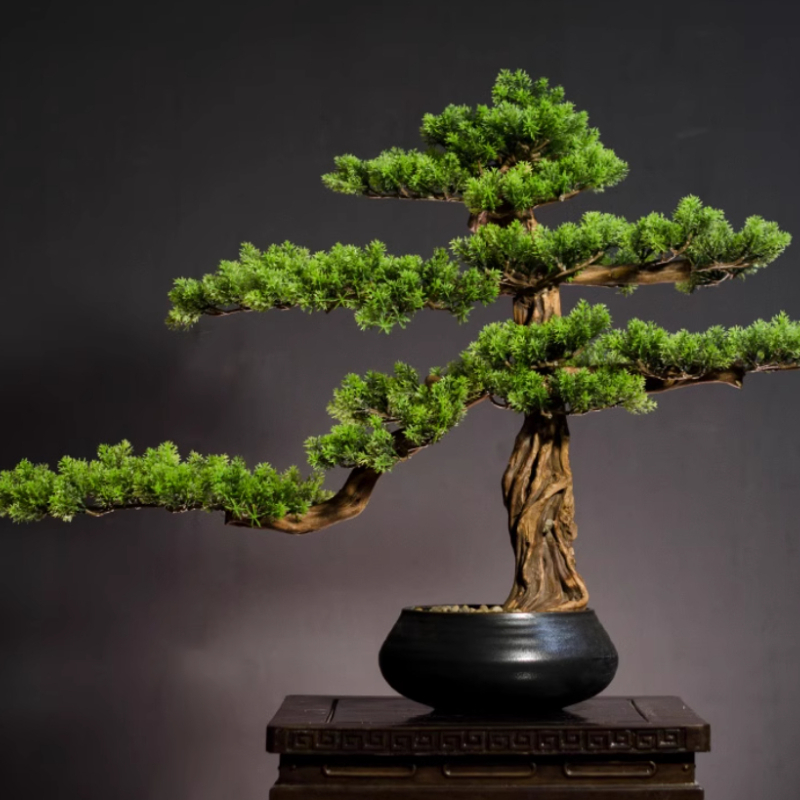 Ornements de pin de bienvenue  - Bonsai Garden Entrance avis et prix
