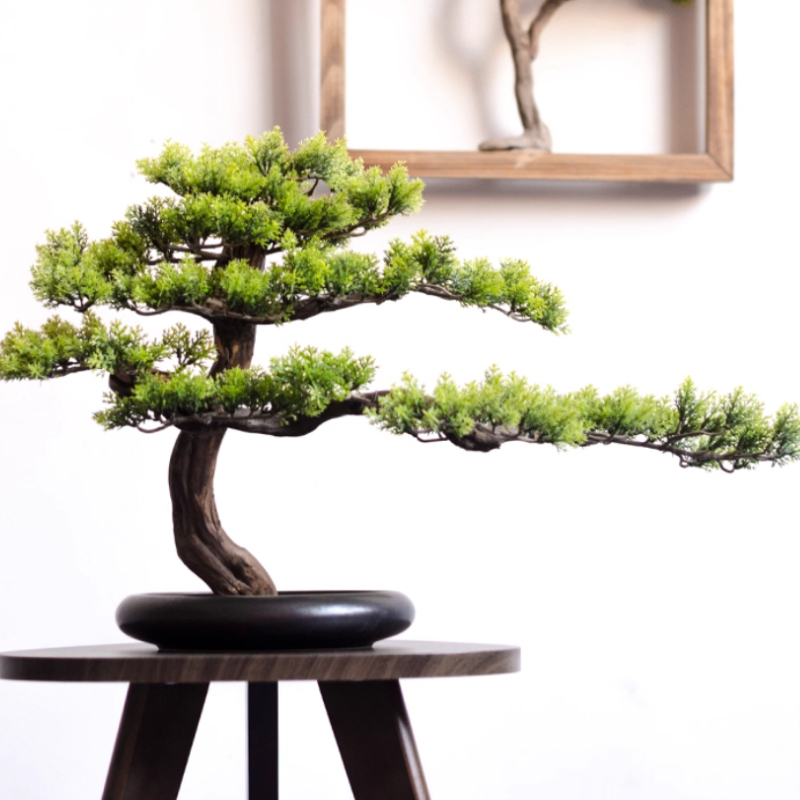 Ornements de pin de bienvenue  - Bonsai Garden Entrance avis et prix