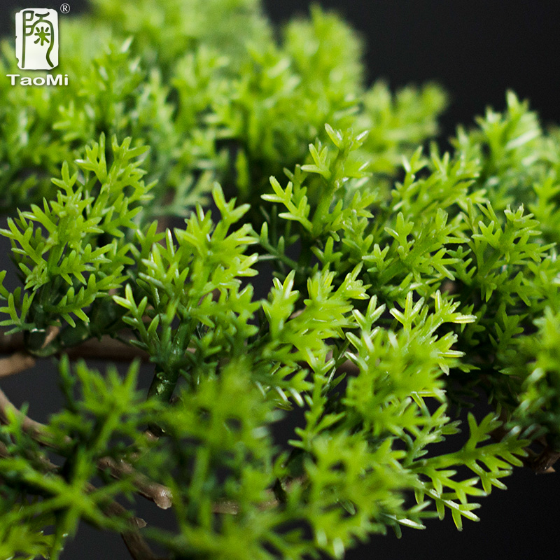 Ornements de pin de bienvenue  - Bonsai Garden Entrance avis et prix