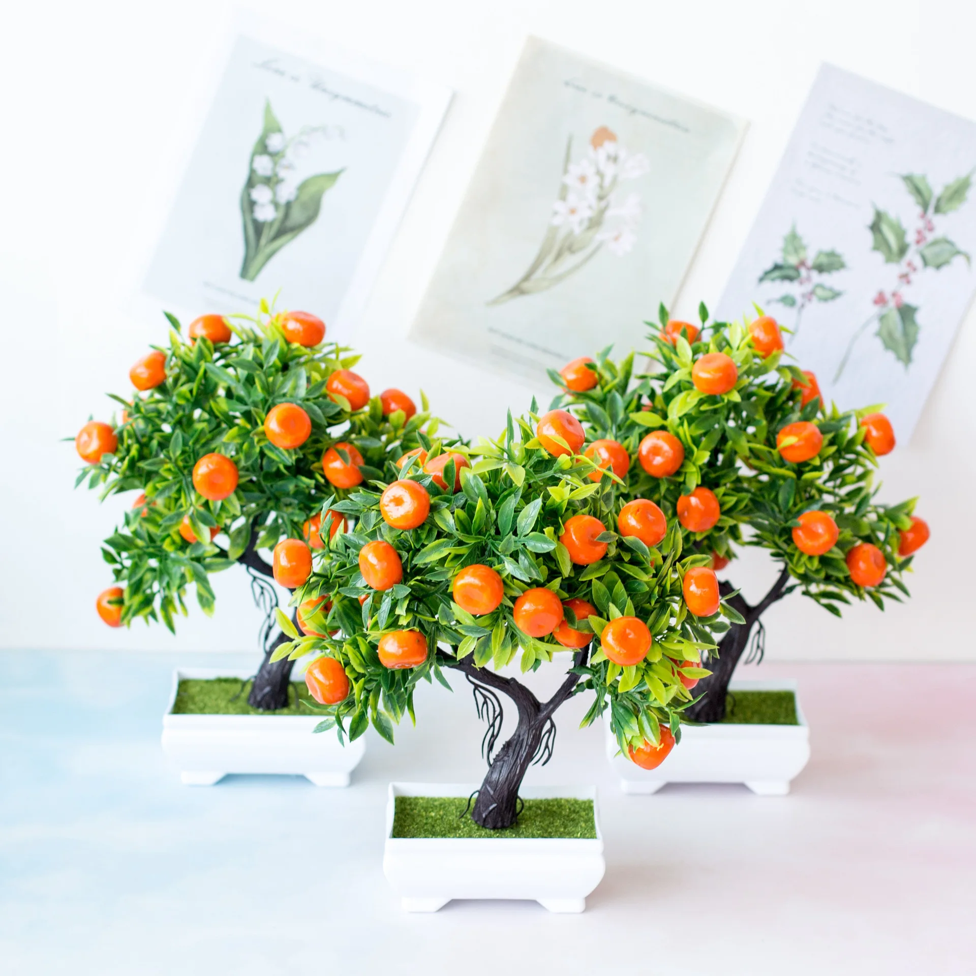Bonsaï Élen plastique, 275 qua - Bonsai Garden Sushi avis et prix