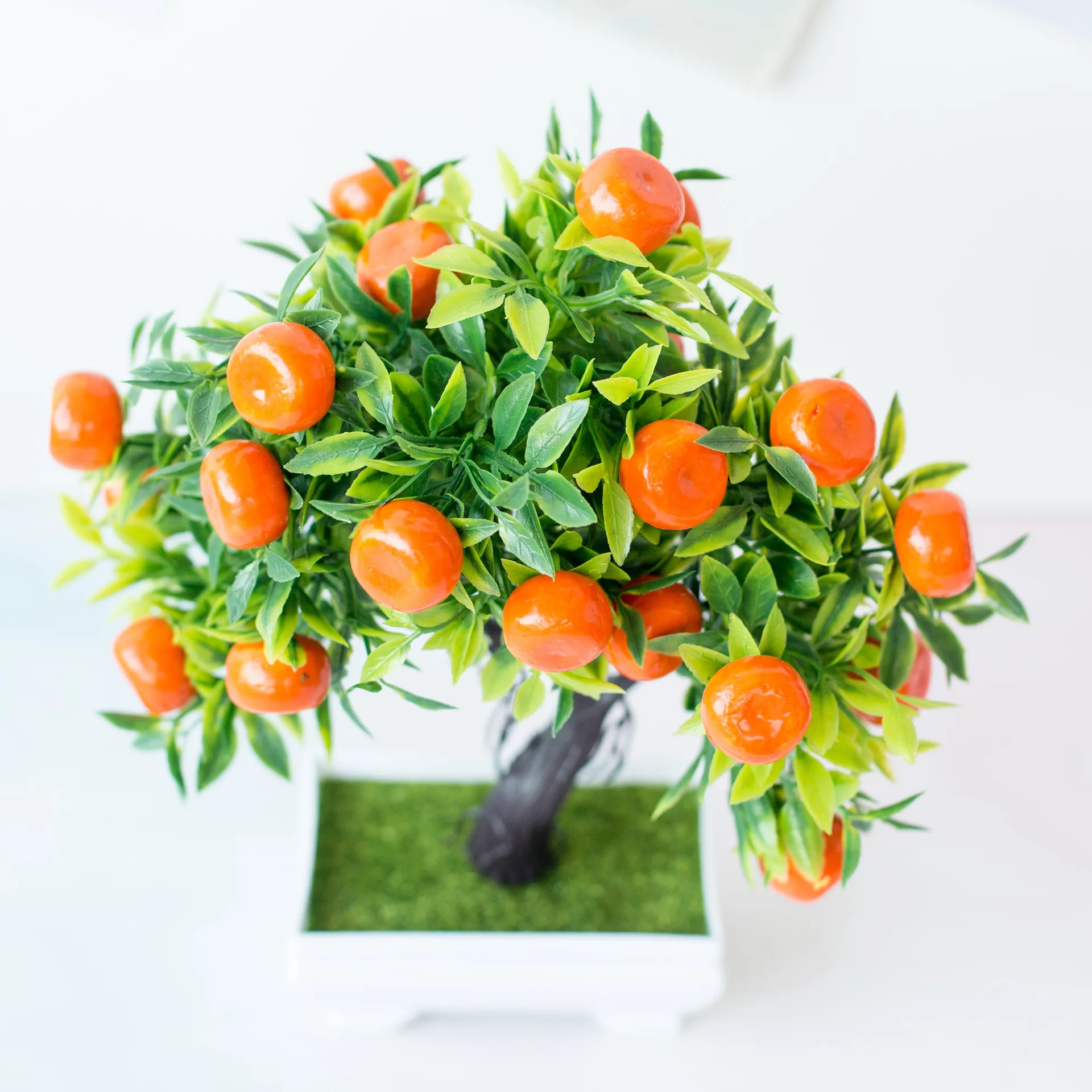 Bonsaï Élen plastique, 275 qua - Bonsai Garden Sushi avis et prix