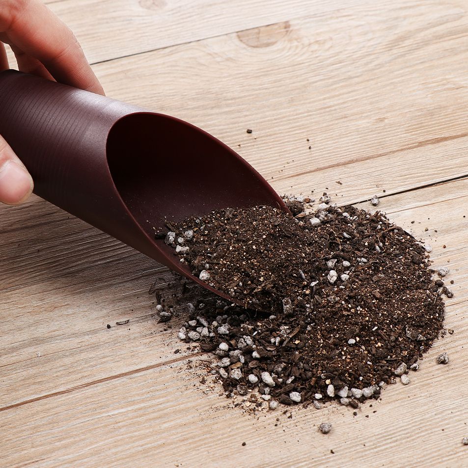 Tasse de pelle à sol en plasti - Soil Scoop Tool avis et prix